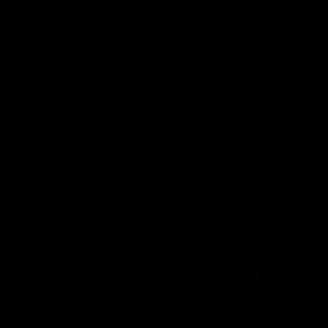 Meet your Posher, Nanci